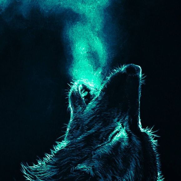 Meet your Posher, Chad - Picture 1 of 1